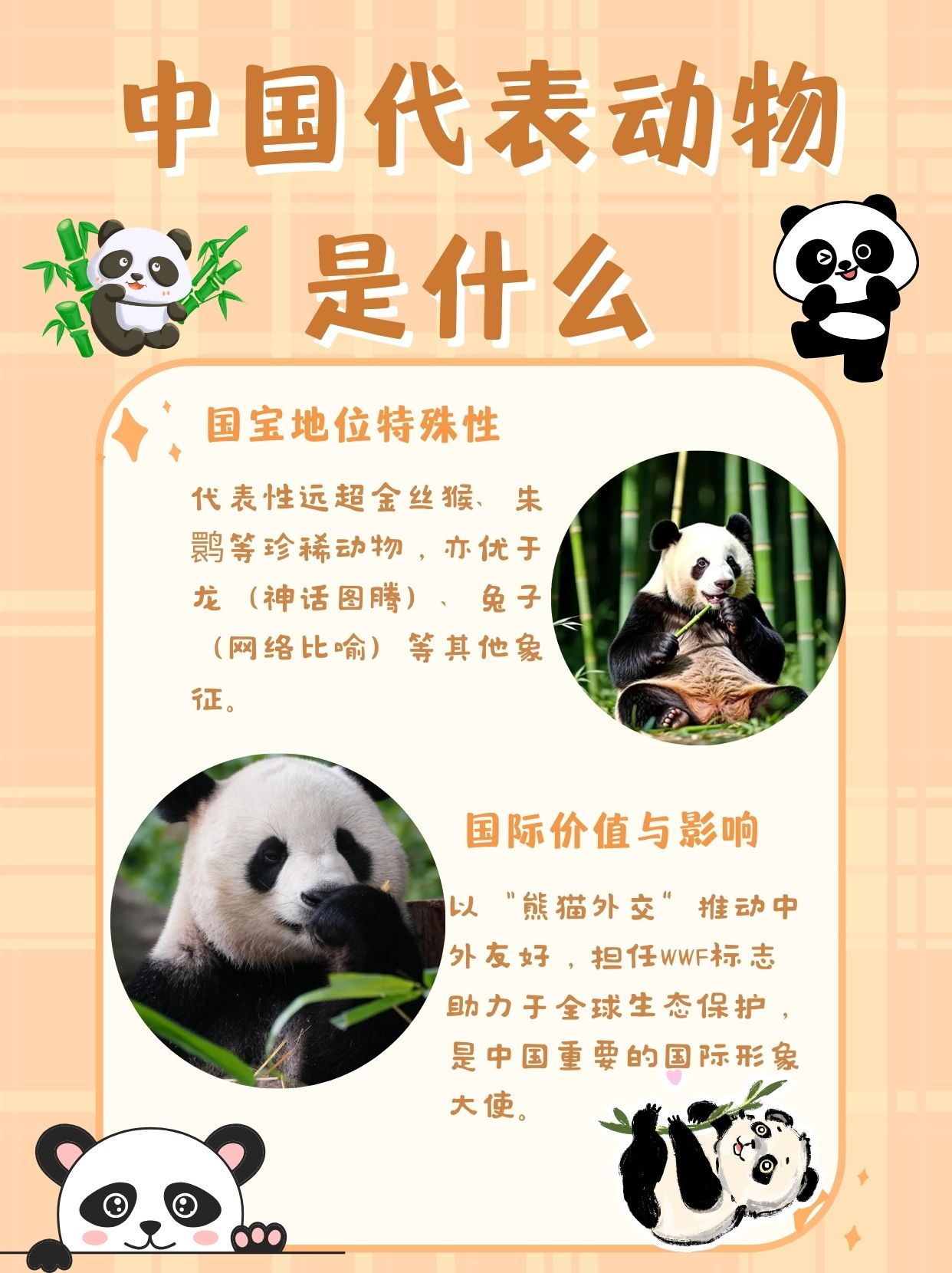 首发资讯（十七十八正少年）代表什么动物