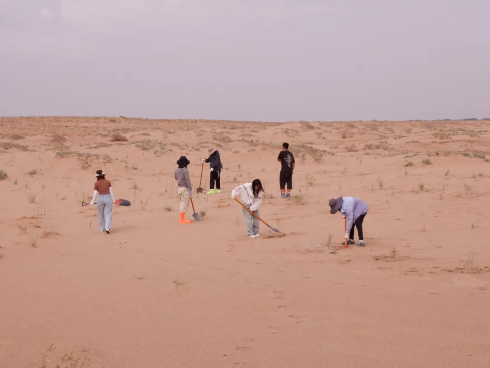 图文解析（寸草不生）打一准确动物