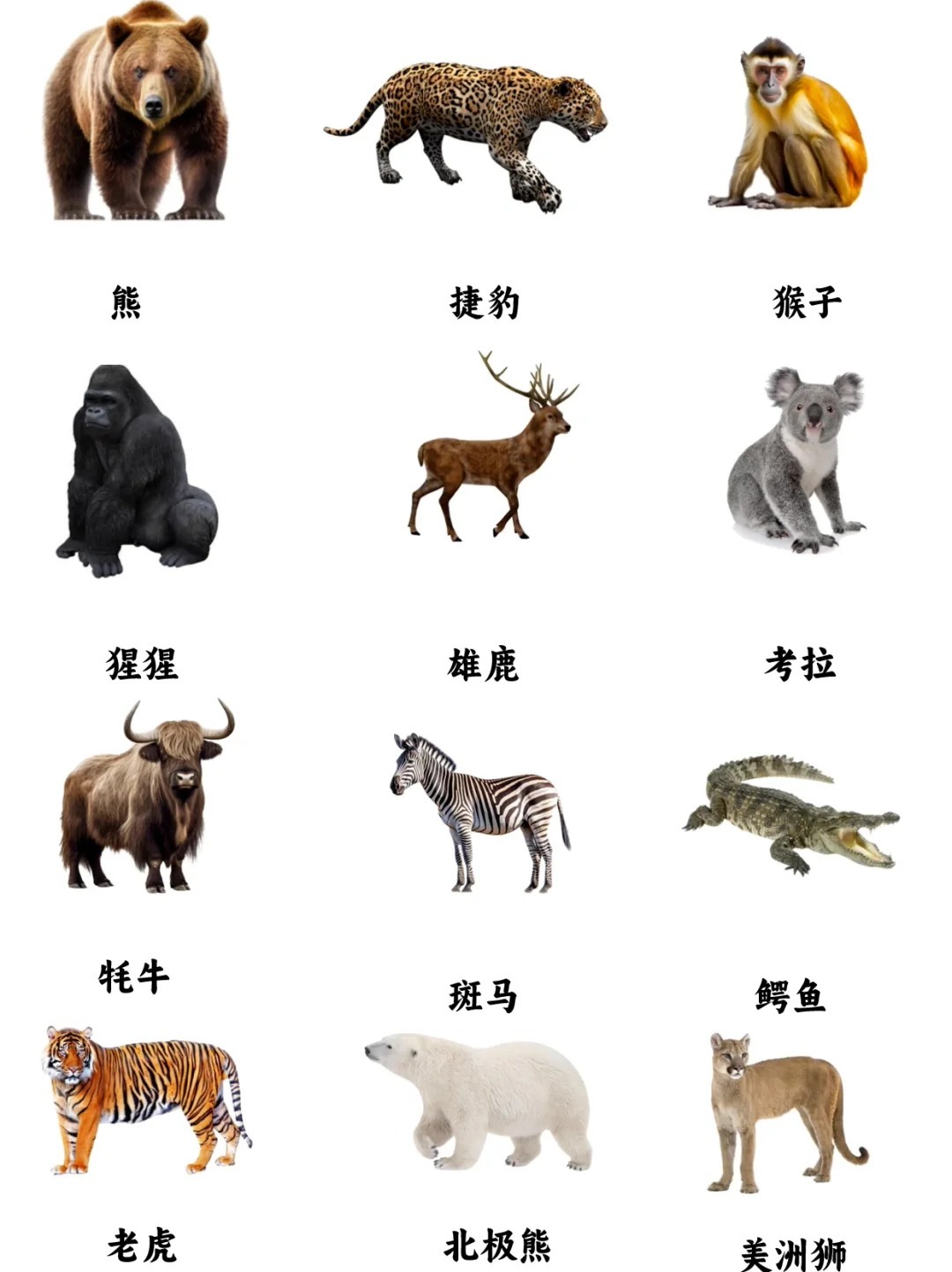 专家解析（財源广進你家門，一唱一合走天下）对应那种动物