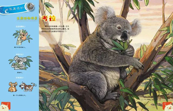 独家调查（东南西北）本期动物