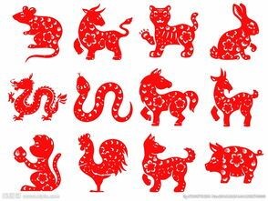 趋势研判（东南西北）代表什么生肖