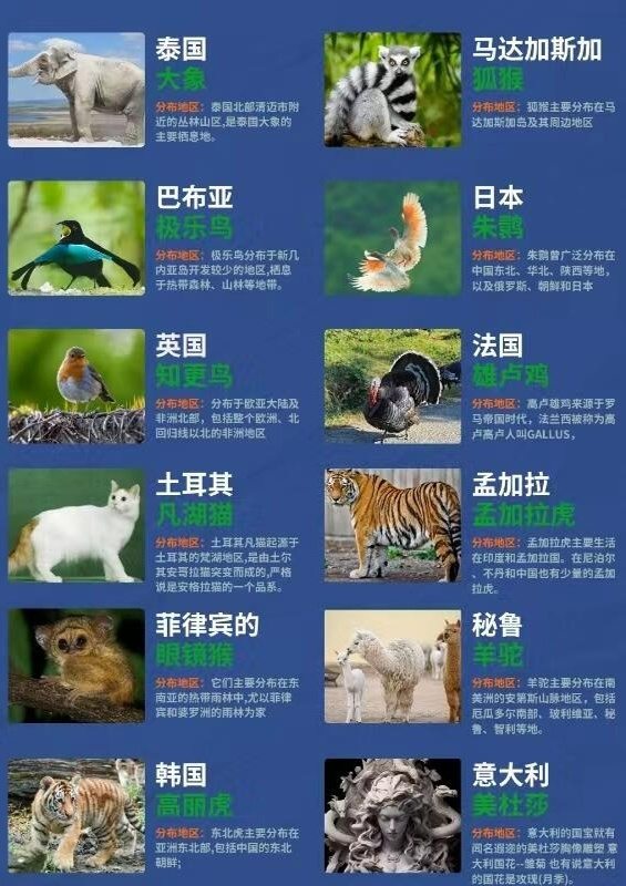 首发资讯（十七十八正少年）代表什么动物