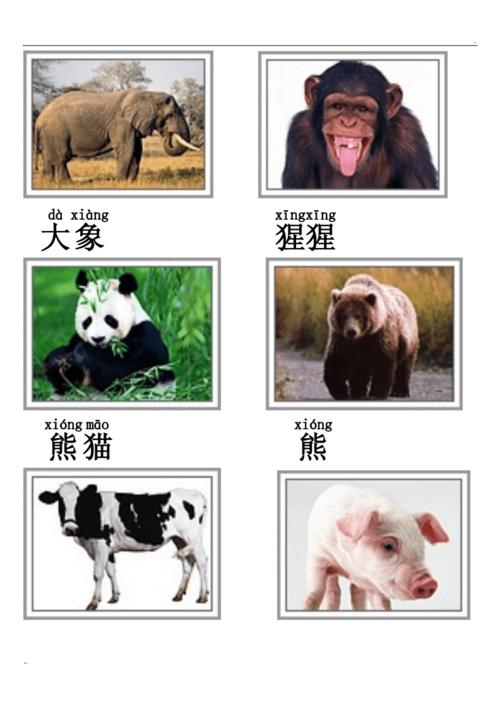 专家解析（財源广進你家門，一唱一合走天下）对应那种动物