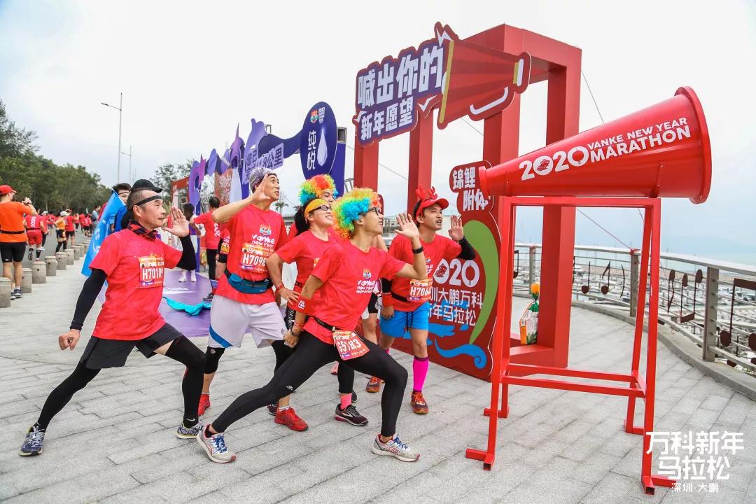 专家解析（一六是八要看清，二七相伴同台走）正确答案动物