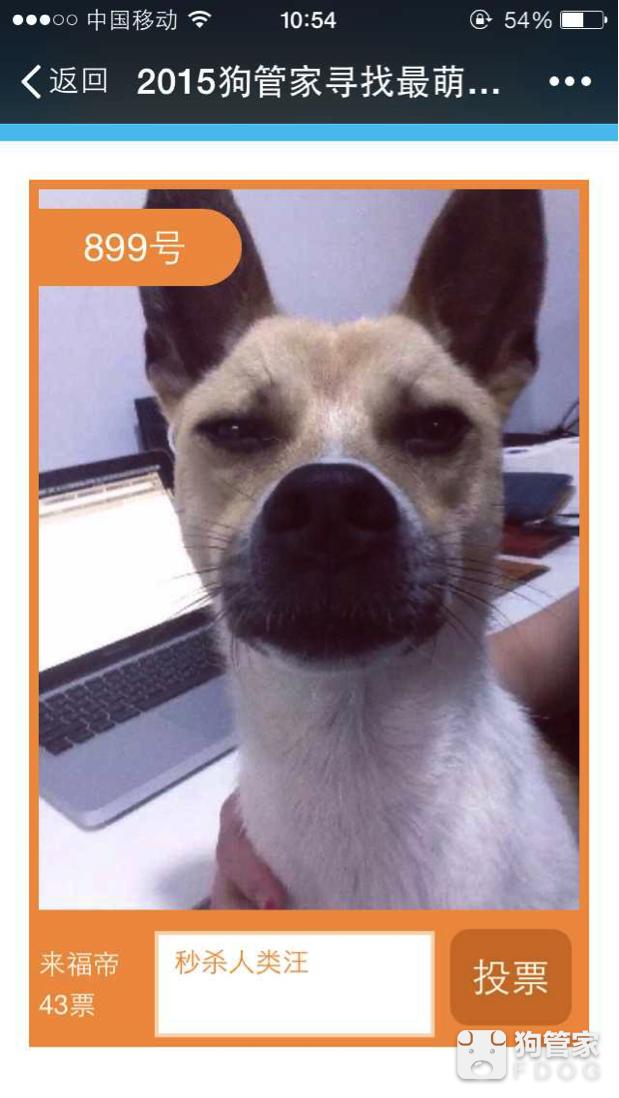 独家调查（东南西北）本期动物