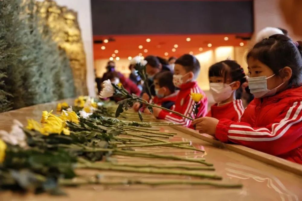 首发资讯（计不旋踵）打一生肖