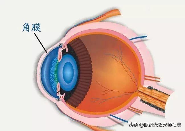 深度剖析（家院扫地有红财，蛇龙狠羊后来者。打一准确数字