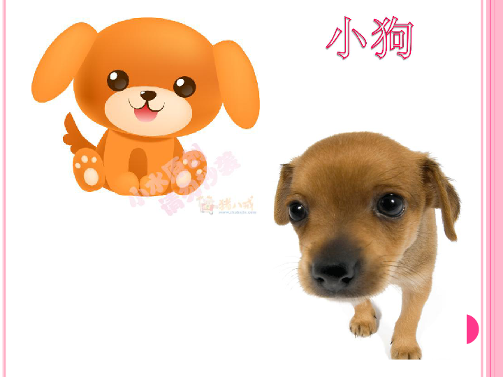 独家观察（欲钱知吃月饼）猜一动物