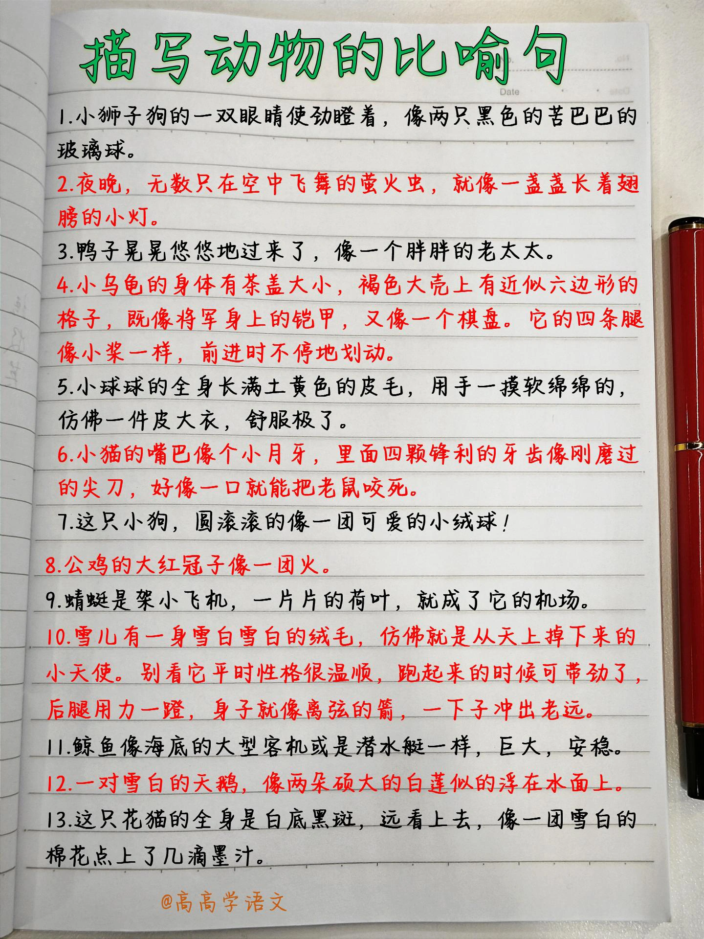 圈内揭秘（一本正经）比喻什么动物