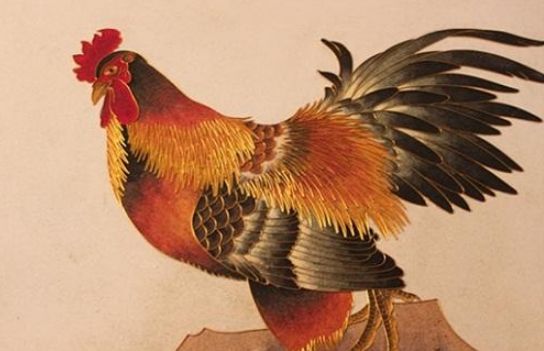 独家视点:挂名金榜代表什么动物