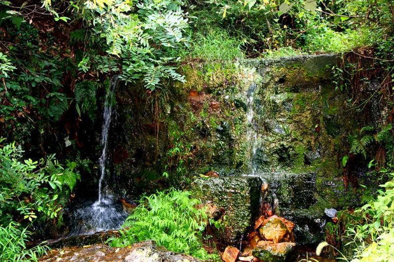 视角拆解（龙山虎山两相朝，有情才有好风光。指啥动物