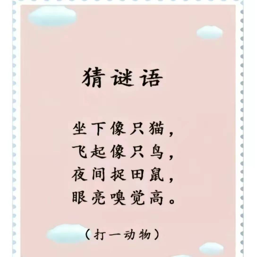 条理讲解（猪狗不如）打一动物谜底