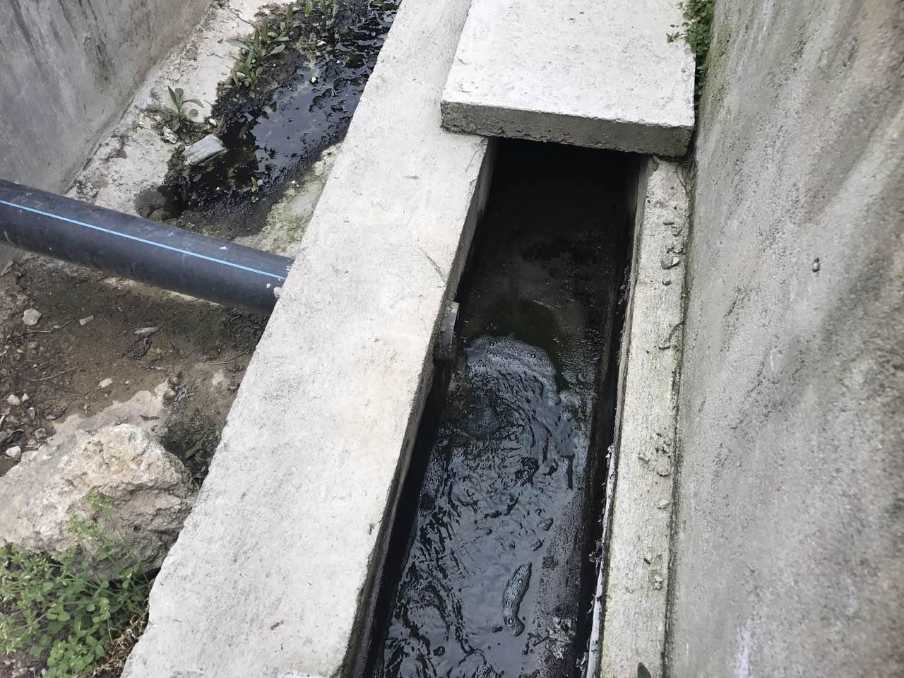 独家调查（肆意行凶势难容，阴正腊月早迎春）打一生肖